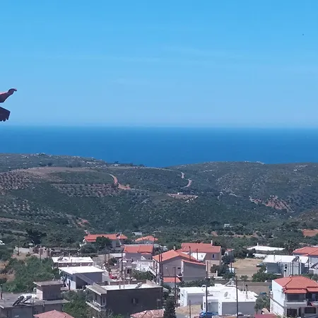 λιθόκτιστη παραδοσιακή οικία Hébergement de vacances Agios Nikolaos (Peloponnese)